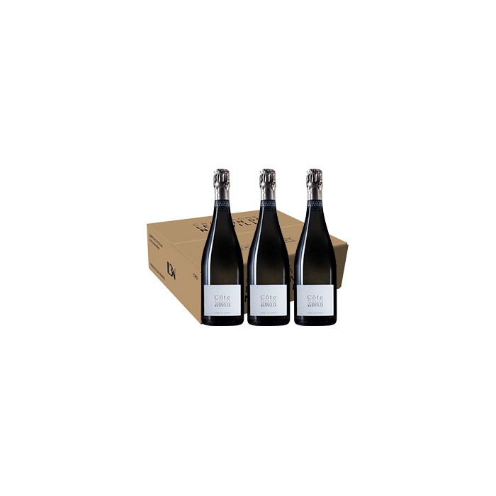 Carton de 3 bouteilles de Champagne Le Brun de Neuville Blanc de Blancs  "Côte Blanche"